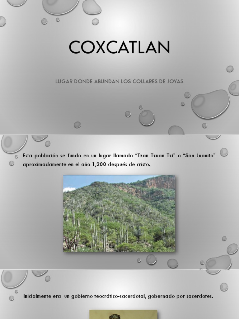 Historia y Tradiciones de Coxcatlán | PDF | Bebidas | Alimentos