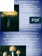 Mushroom Photography 19-24
