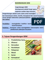 Pengembangan SDM