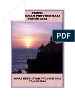 17 Prov Bali 2013