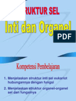 03 Inti Dan Organel 1