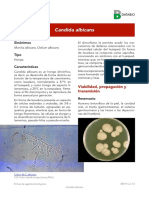 Candida albicans.pdf