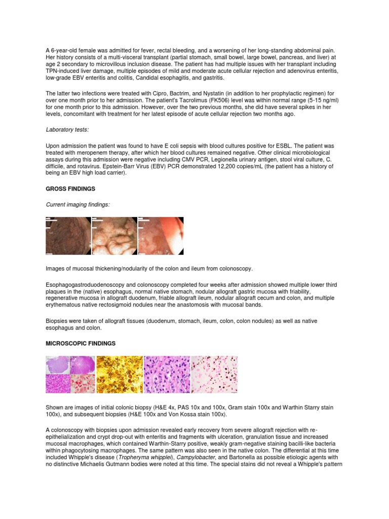 Laboratory Tests Gross Findings PDF Gastrointestinal Tract