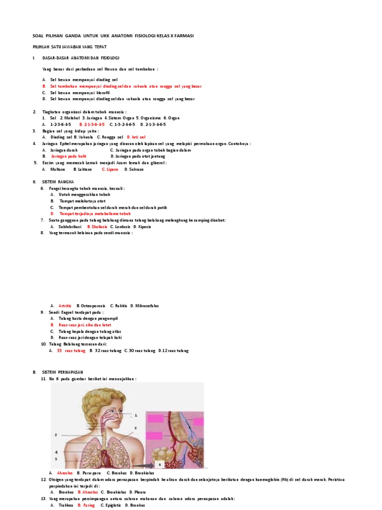 Soal Ukk Anatomi Fisiologi Kelas X Farmasi