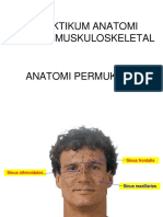 Praktikum Anatomi Permukaan 1.pdf