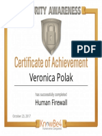 Veronica Polak: Human Firewall