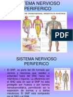 Sistema Nervioso Periferico1893