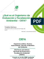 1.-PPT-qué-es-el-OEFA-final.pdf