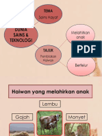 DST Tahun 2: Pembiakan Haiwan