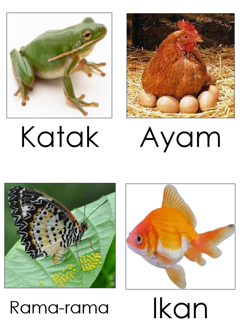 Haiwan Bertelur Dan Melahirkan Anak Pdf