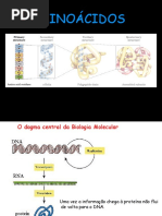 Aula 2 Aminoacidos 1
