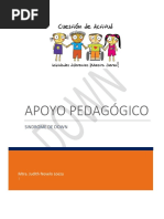 Estilo y Características Del Aprendizaje SINDROME de DOWN