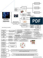 Sistema Nervioso Mapa PDF