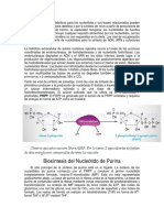 Nucleotidos