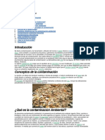 Contaminación ambiental