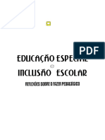 Livro Educação Especial Inclusão Escolar PDF