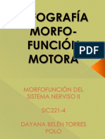 Infografía Morfo-Función Motora 1