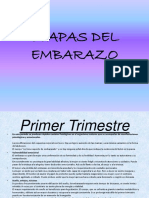 etapasdelembarazo-120926192553-phpapp01