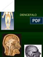 Diencefalo Telencefalo