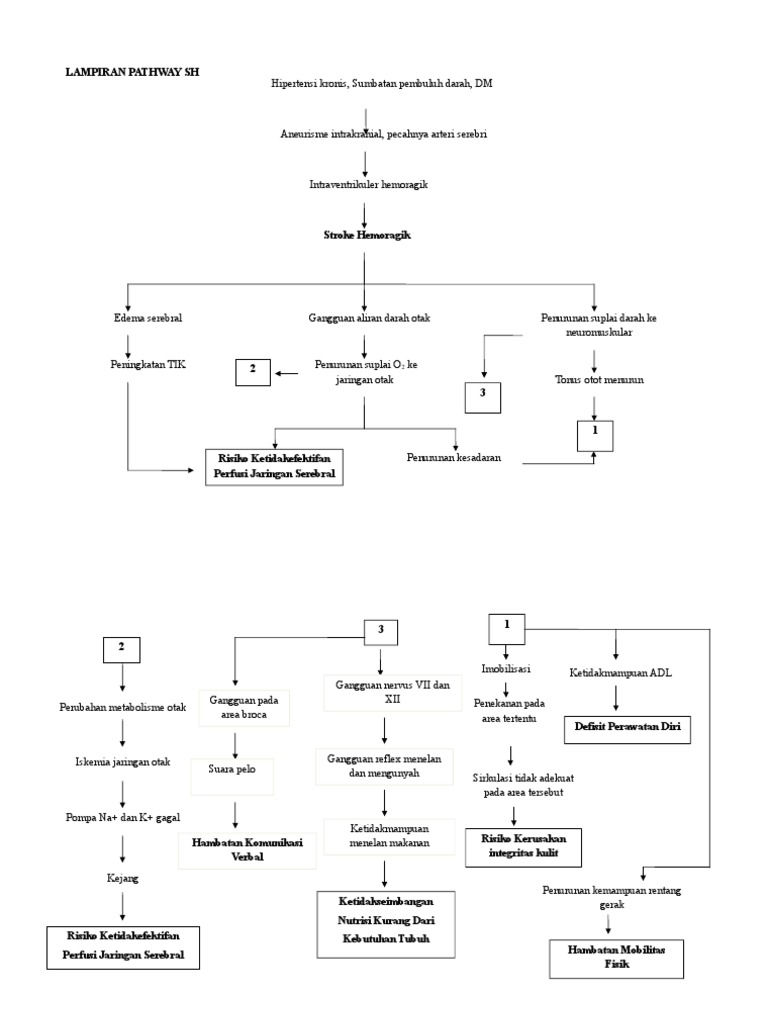 Pathway Stroke Hemoragik dan Edema Serebri | PDF