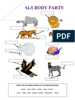 Animal body parts matching worksheet