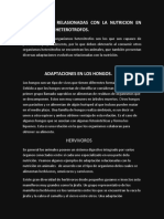 Adaptasiones Relasionadas Con La Nutricion en El Organismo Heterotrofos