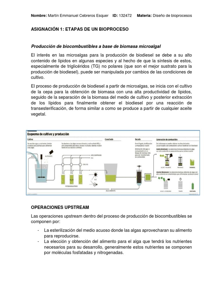 etapas-de-un-bioproceso-ejemplo-pdf-biodi-sel-biocombustible