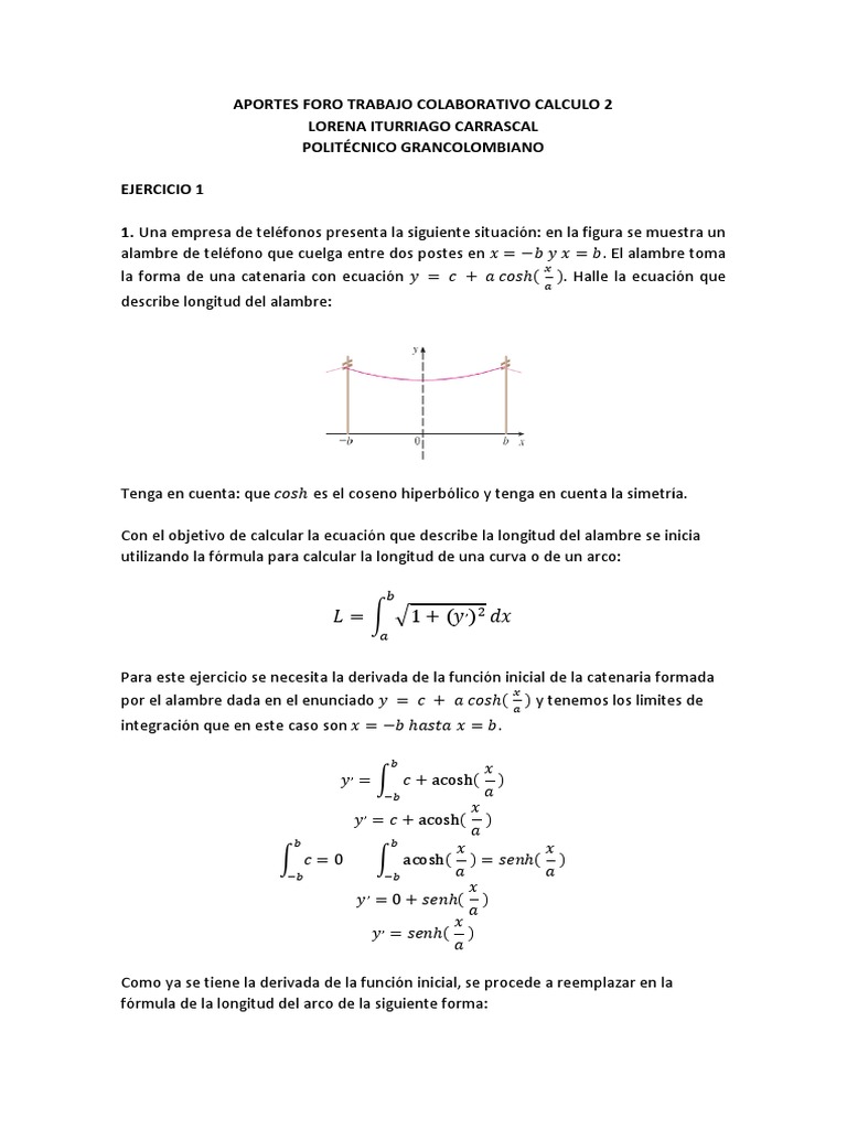 Aportes Foro Trabajo Colaborativo Calculo 2 | PDF | Integral | Derivado