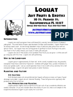 Loquat: Just Fruits & Exotics