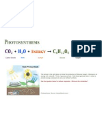 Basic Photosynthesis
