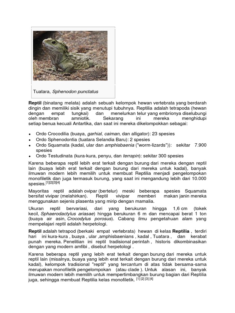 Makalah Mamalia Dan Reptil