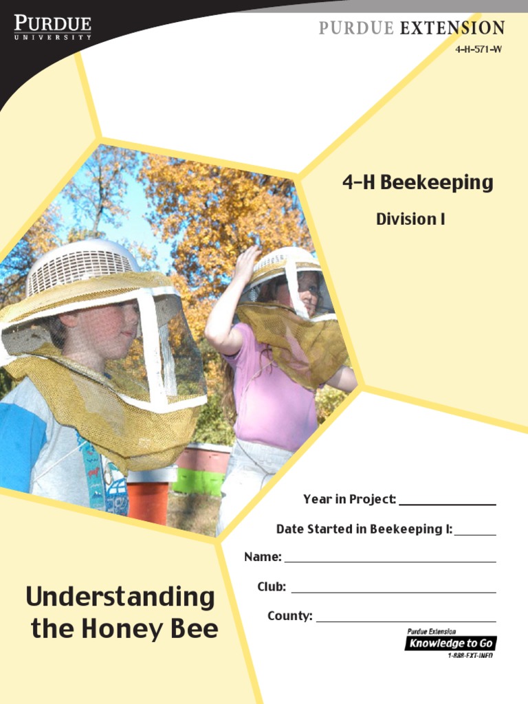 4-H Beekeeping: Understanding Honey Bees | PDF | Beekeeping | Beehive