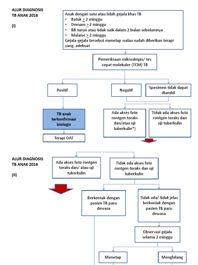 Alur Diagnosis TB Anak 2016 | PDF | Pengembangan Diri | Kesehatan Holistik