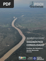 Pddi Diagnostico-resumido Site