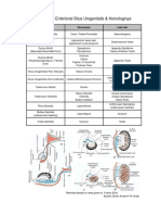 Embrional Situs Urogenitalis Homologi