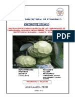 154484298-EXP-TENCINO-DE-AYAHUANCO-DE-FRUTICOLA-pdf.pdf