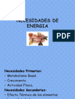 Necesidades de Energia