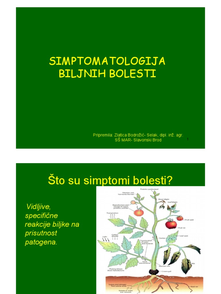 SIMPTOMATOLOGIJA BILJNIH BOLESTI.pdf