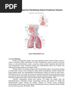 Download Anatomi Fisiologi Dan Patofisiologi Sistem Pernafasan Manusia by Selvia Kumala SN362474279 doc pdf