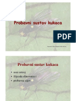 Probavni Sustav Kukaca PDF