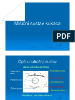 Mišići Kukaca PDF