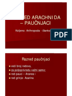 Paučnjaci PDF