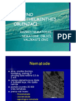 NEMATODE.pdf