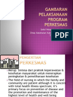 Gambaran Pelaksanaan Program Perkesmas