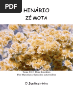 Ze Mota 