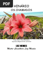 Luiz Mendes - Os Chamados 