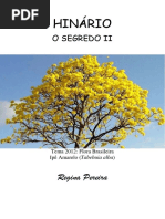 Madrinha Regina Pereira - O Segredo II 