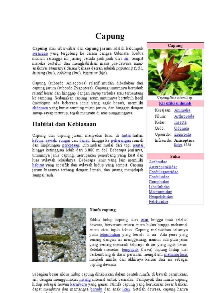 75 Koleksi Gambar Siklus Hewan Capung Terbaru