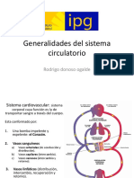 Generalidades Del Sistema Circulatorio