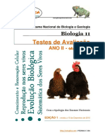 BG11.pdf